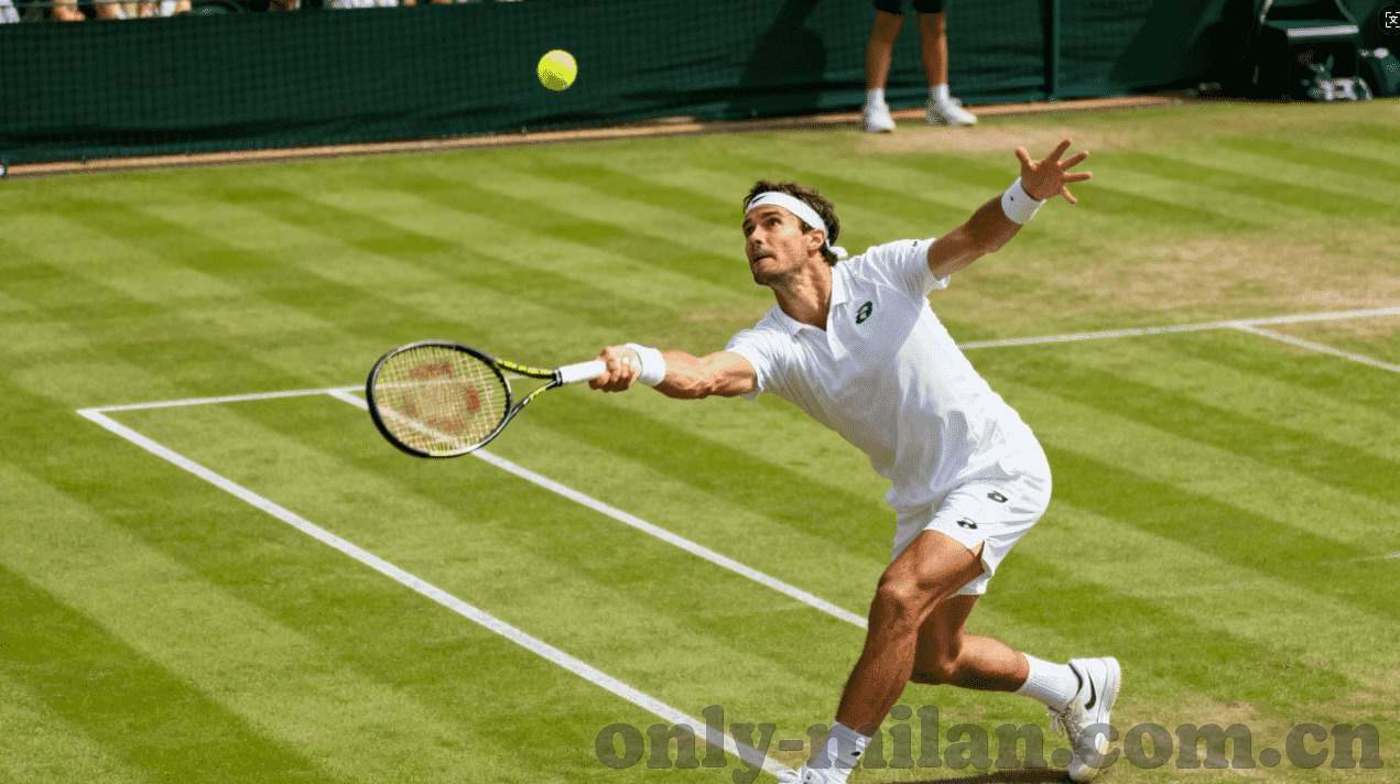 pg电子官方免费版-pg电子游戏，从基础解析到高级策略